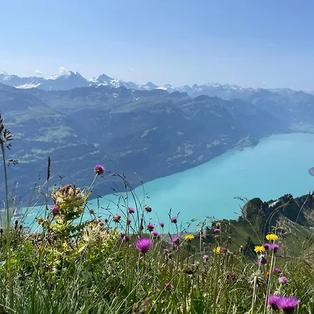 Apartmán Romantic & Mountain Pure Swissness *