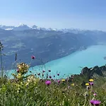 Апартаменты Romantic & Mountain Pure Swissness *