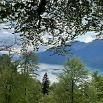 Апартаменты Romantic & Mountain Pure Swissness *