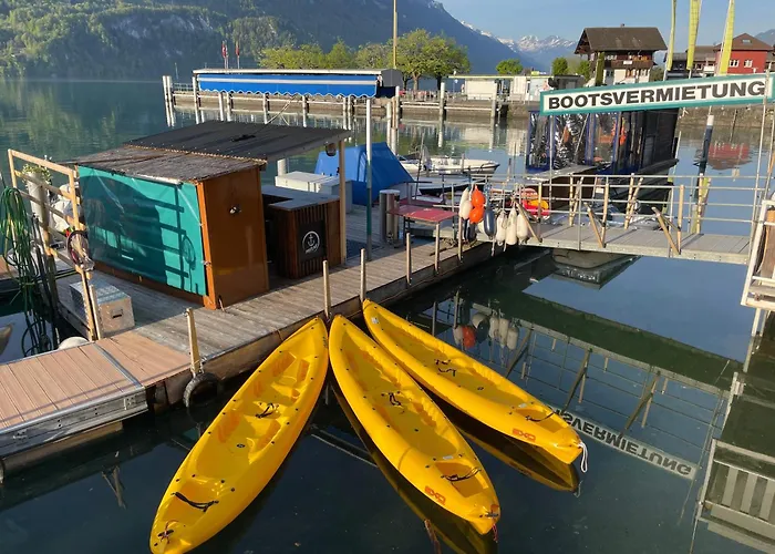 アパート Romantic & Mountain Pure Swissness ブリエンツ